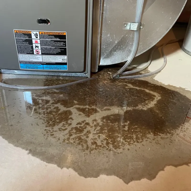 Appliance Leak Cleanup in Fairbanks North Star Borough, AK