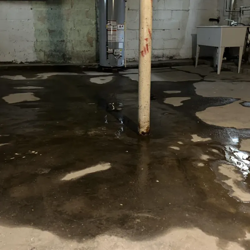 Emergency Water Extraction And Removal in Fairbanks North Star Borough, AK